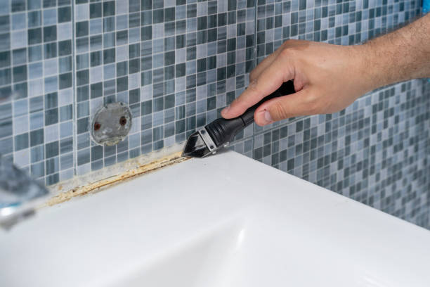 Best Same-Day Mold Removal  in Boston, MA